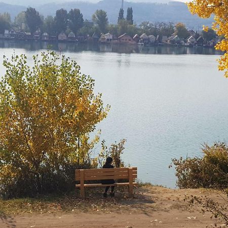 House At Lake Apartment Естергом Екстериор снимка